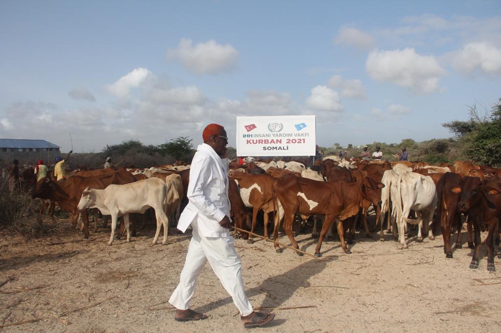 Bir poşet kurban bir dünya mutluluk